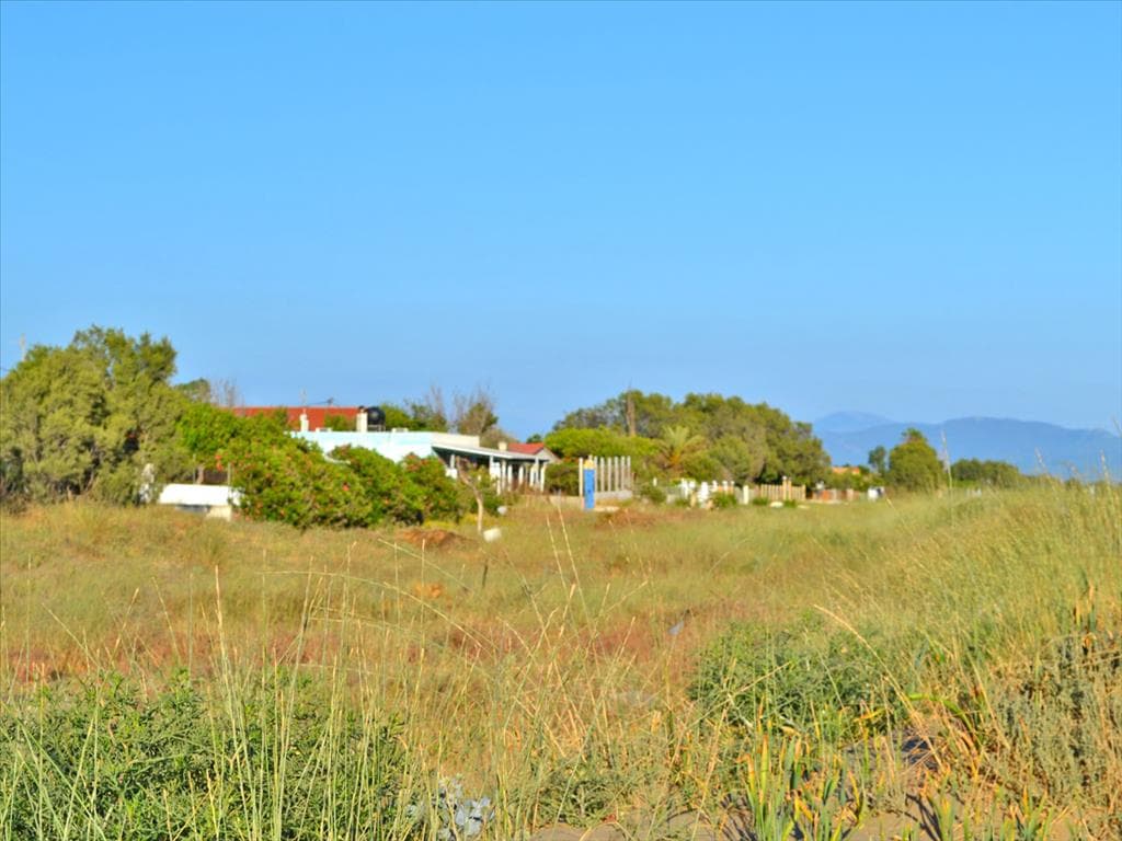 For Sale Land 1300 m² in Western Peloponnese
