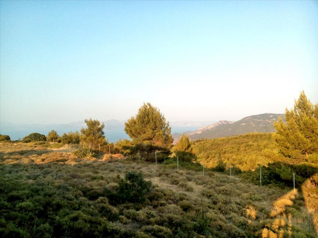 For Sale Land 7300 m² in Attica