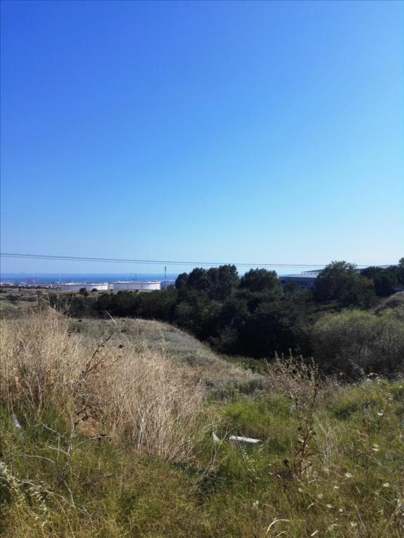 For Sale Land 37500 m² in Thessaloniki