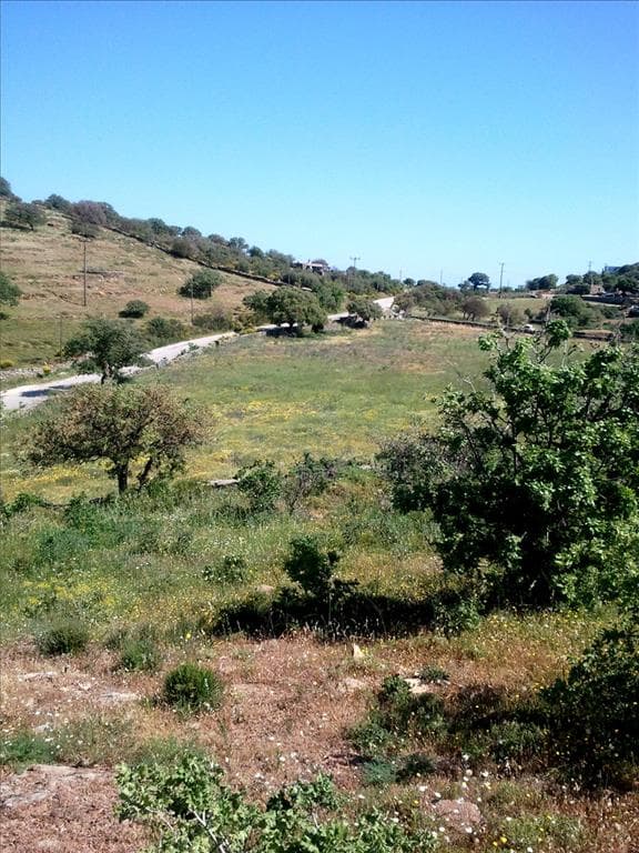 For Sale Land 4300 m² in Cyclades