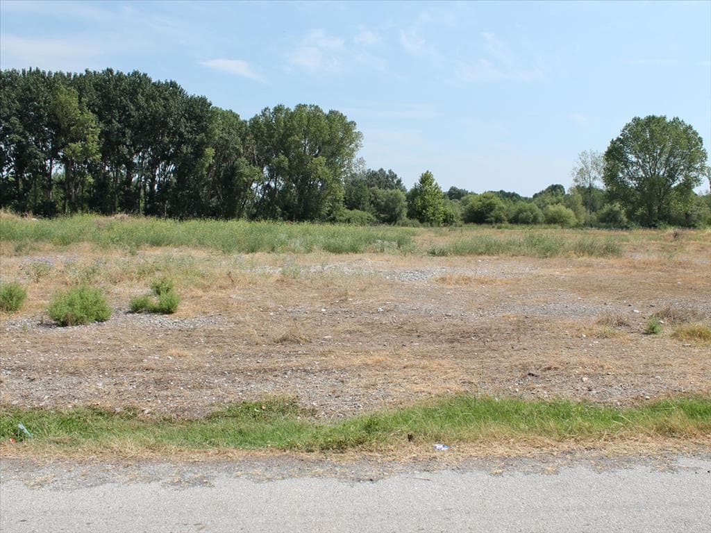 For Sale Land 4000 m² on the Olympic Coast