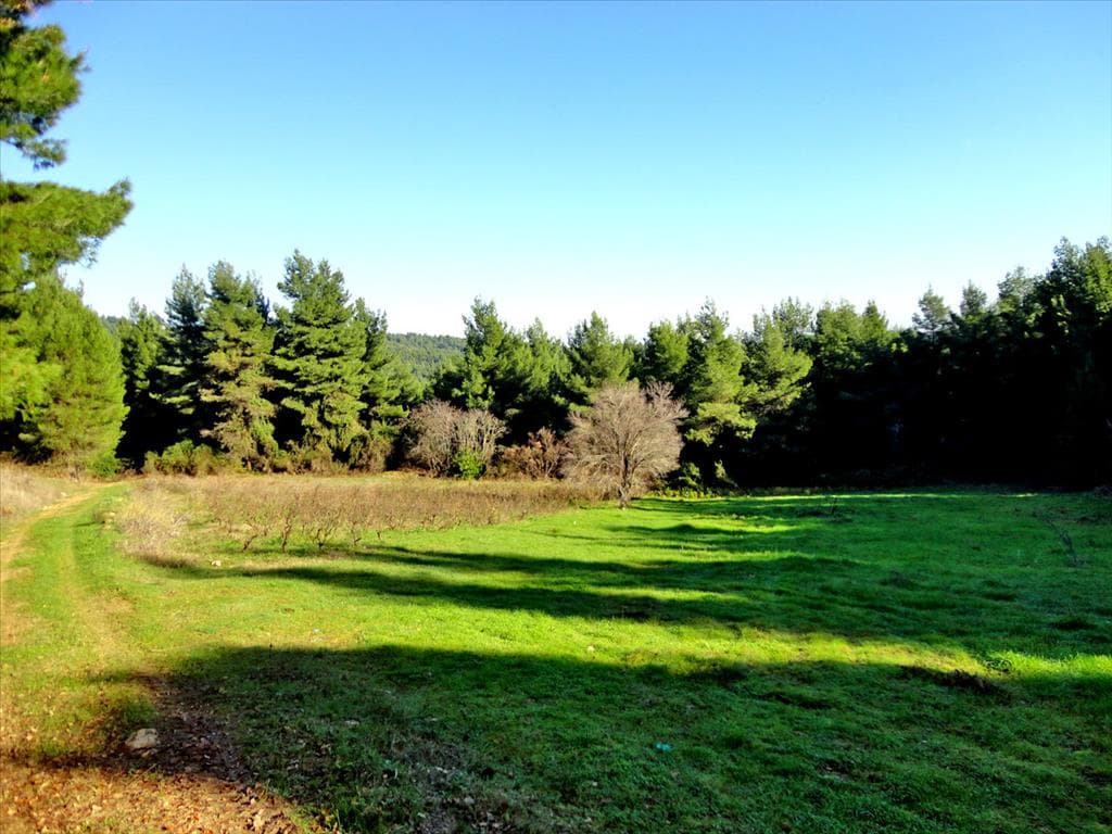 For Sale Land 111500 m² on the Euboea island
