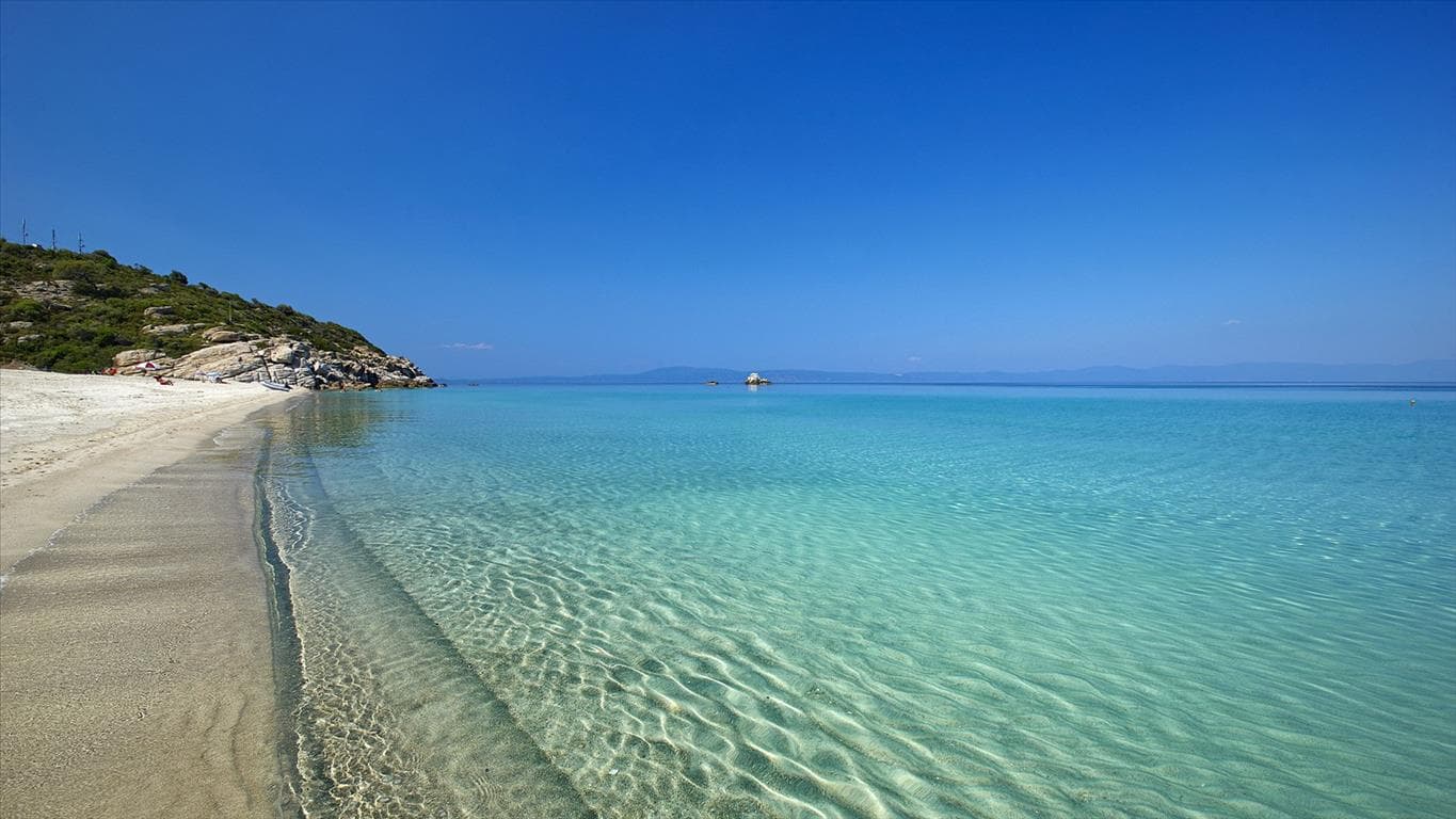 For Sale Land 6600 m² in Chalkidiki