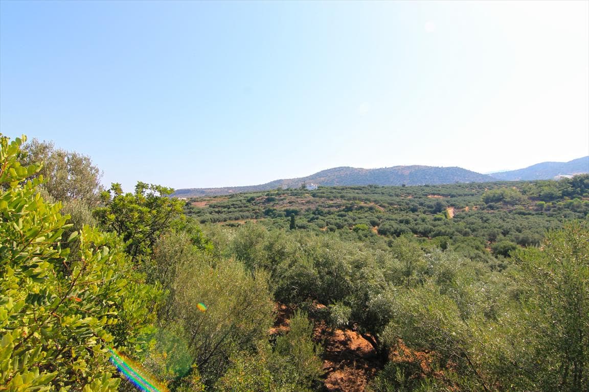 For Sale Land 4000 m² in Crete