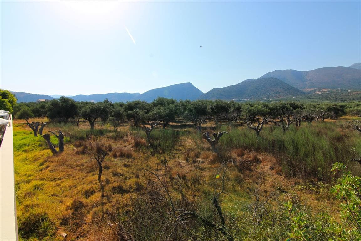 For Sale Land 5500 m² in Crete