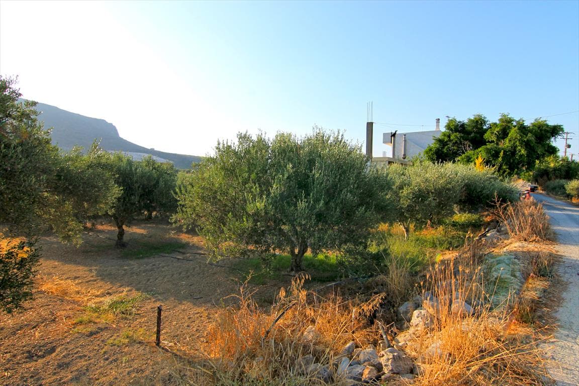 For Sale Land 1800 m² in Crete