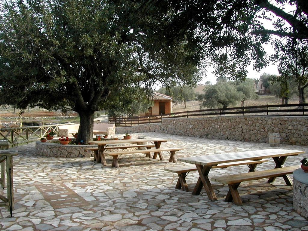 For Sale Land 44600 m² in Eastern Peloponnese