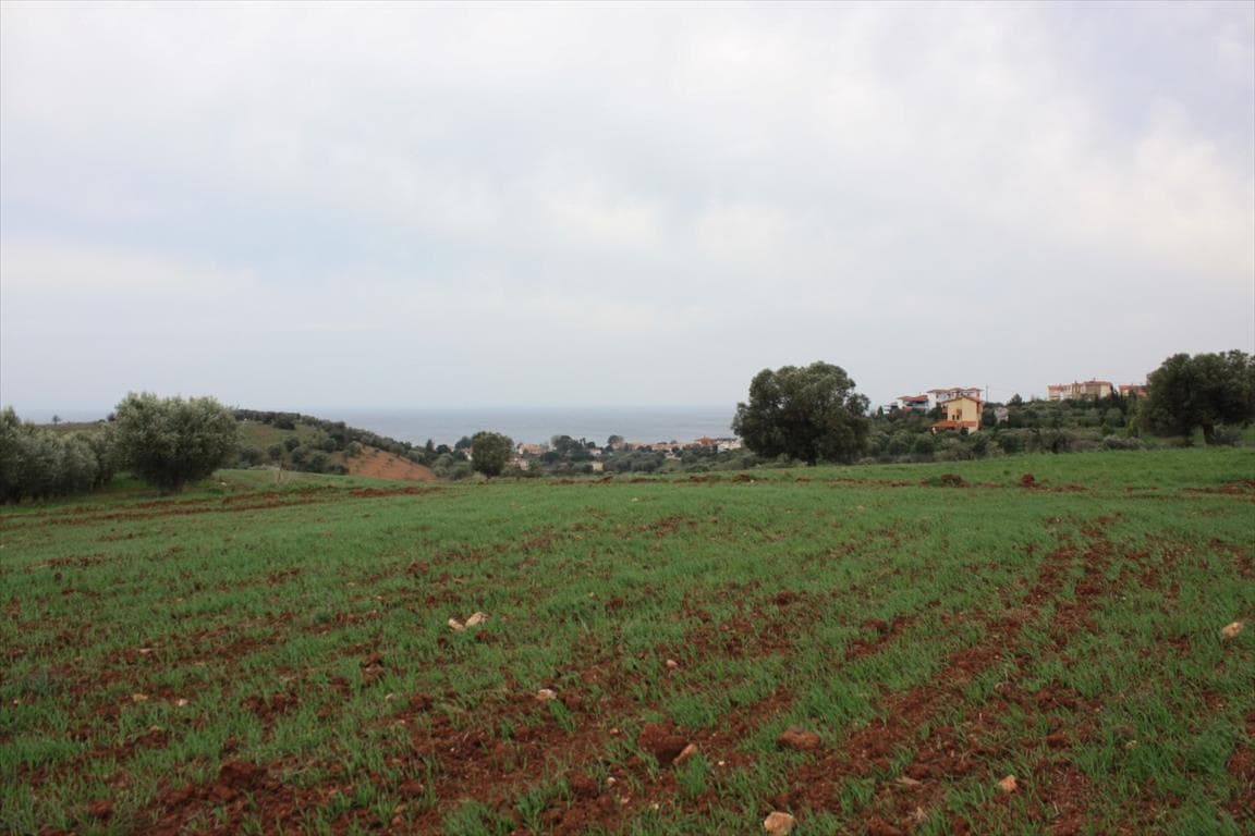 For Sale Land 3900 m² in Sithonia, Chalkidiki