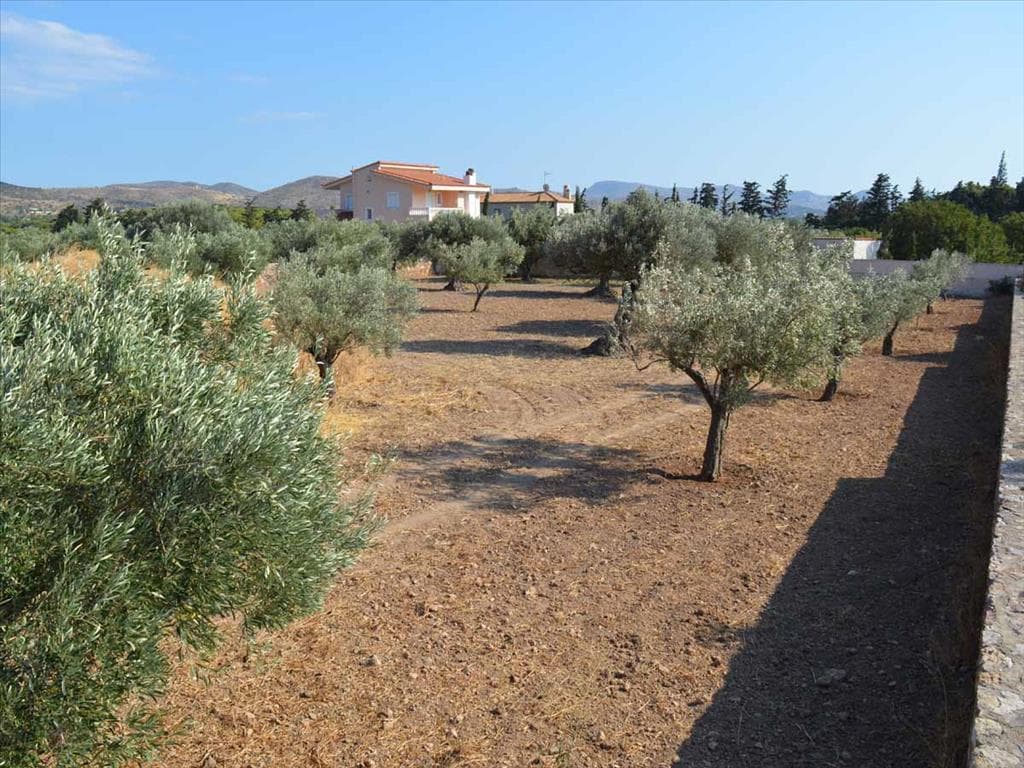 For Sale Land 3000 m² in Attica