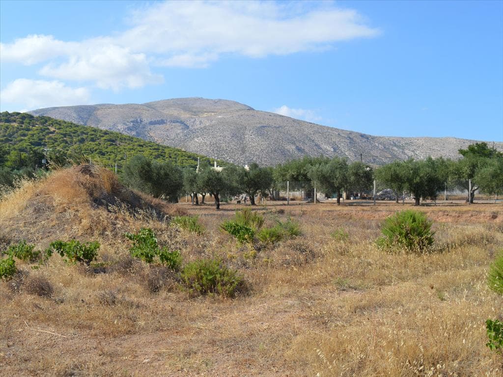 For Sale Land 2052 m² in Attica