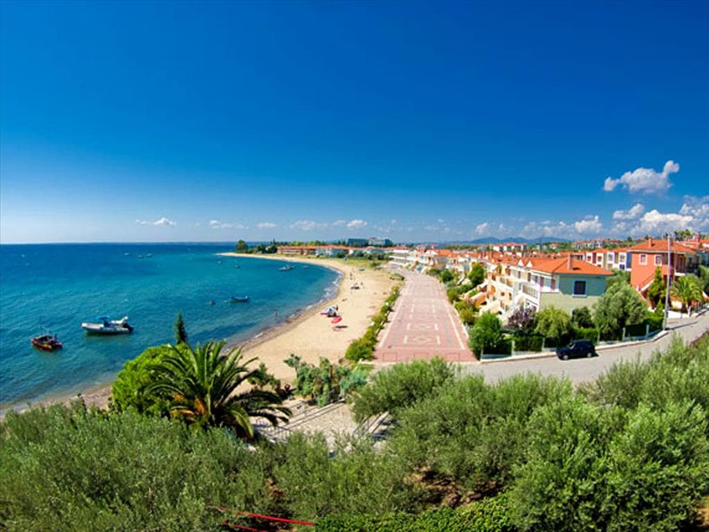 For Sale Land 6500 m² in Sithonia, Chalkidiki