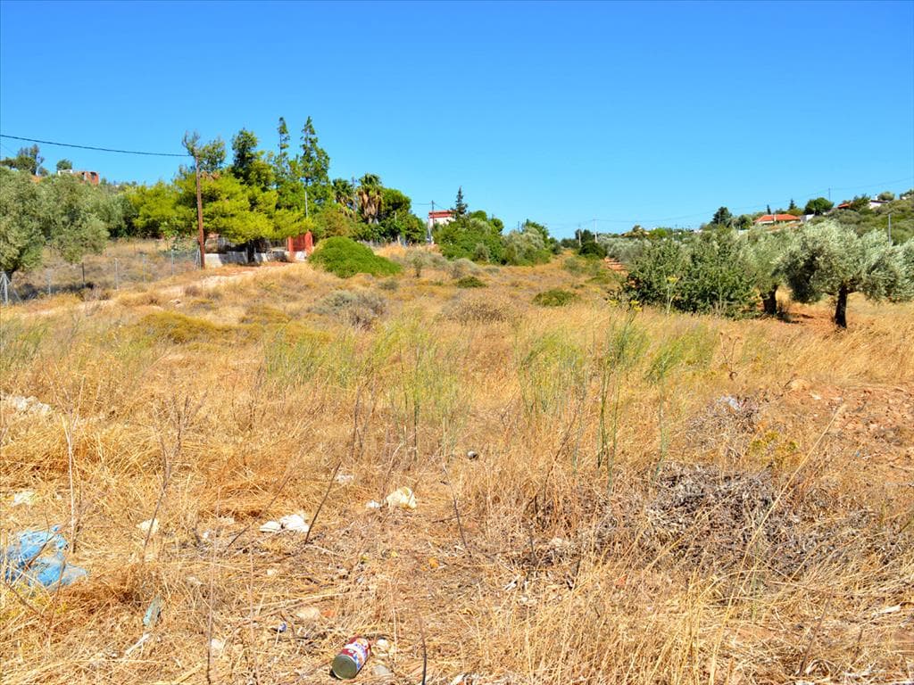 For Sale Land 4700 m² in Attica