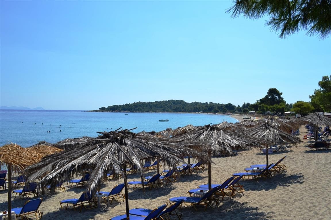 For Sale Land 15500 m² in Kassandra, Chalkidiki