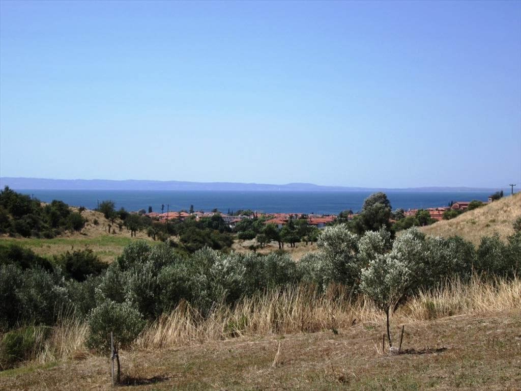 For Sale Land 2479 m² in Sithonia, Chalkidiki