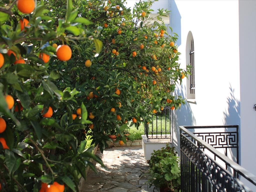 For Sale Detached house 160 m² in Loutraki