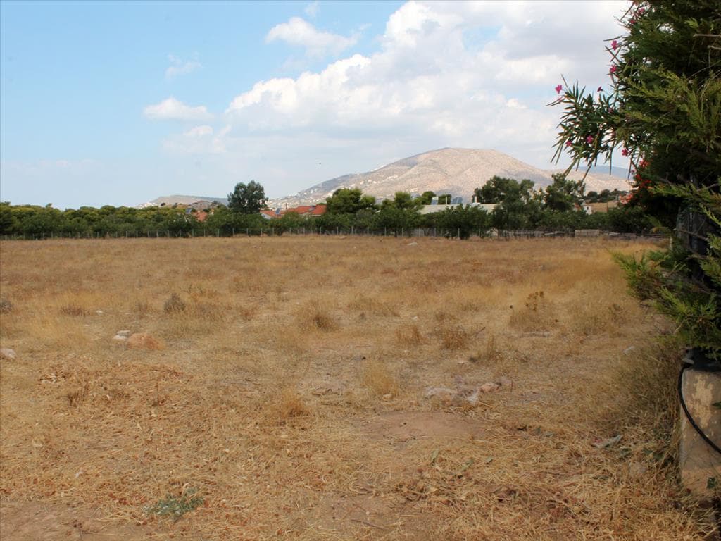 For Sale Land 7900 m² in Attica