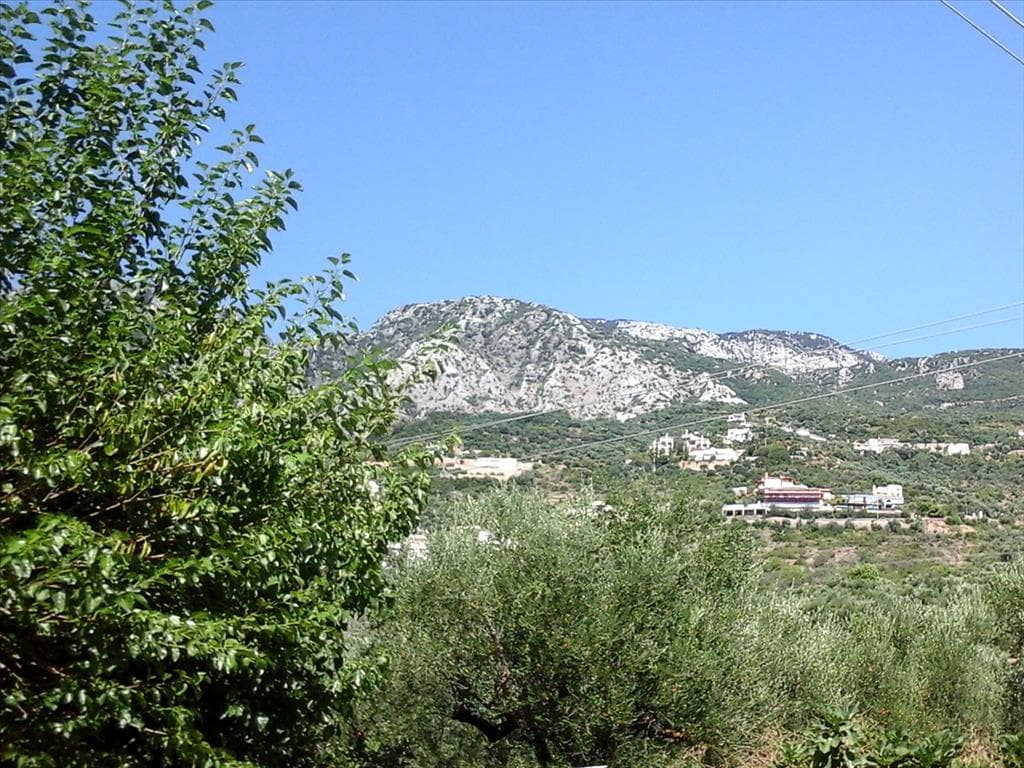 For Sale Land 3510 m² in Western Peloponnese