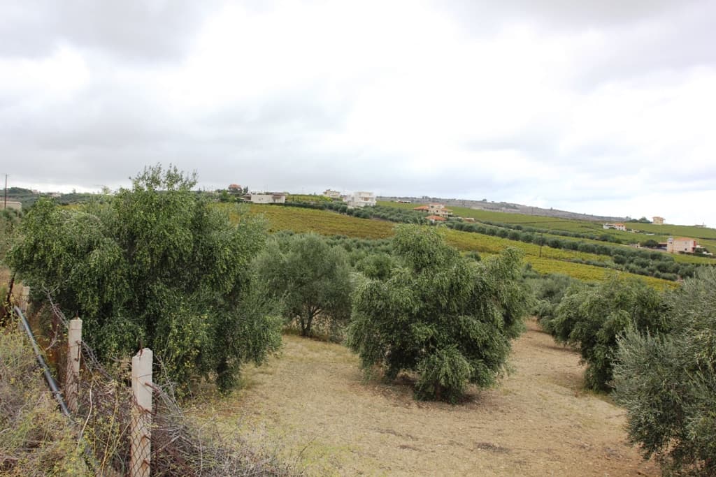 For Sale Land 13042 m² in Crete