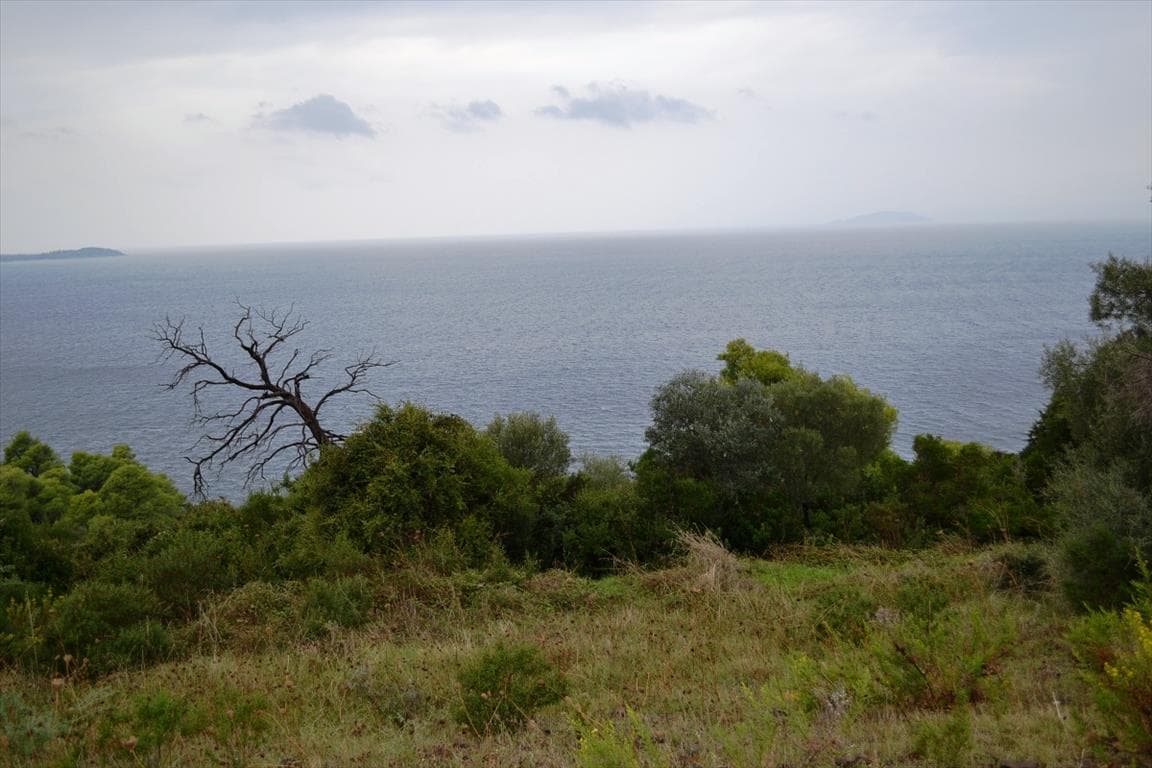 For Sale Land 4200 m² in Kassandra, Chalkidiki