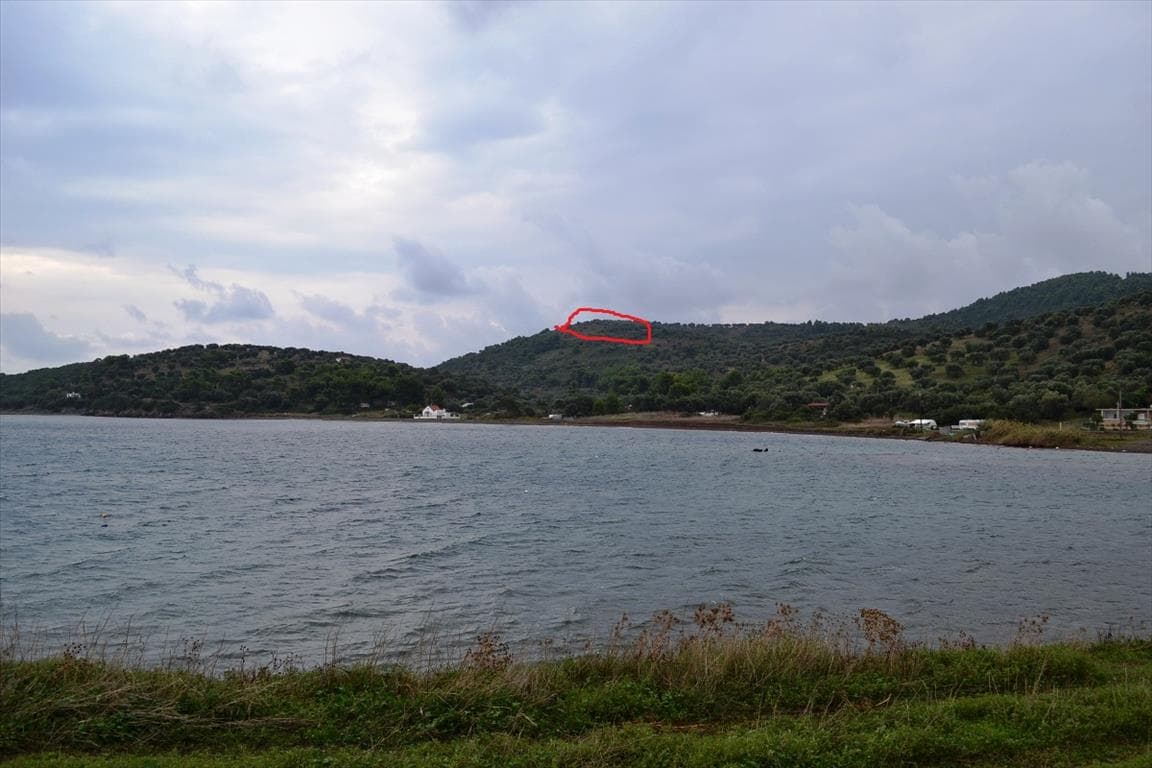 For Sale Land 5300 m² in Kassandra, Chalkidiki