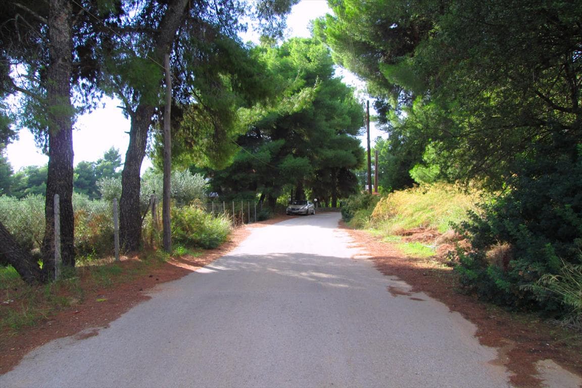 For Sale Land 2000 m² in Sithonia, Chalkidiki