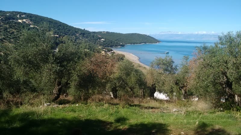 For Sale Land 4565 m² in Corfu