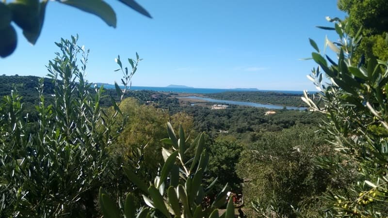 For Sale Land 3447 m² in Corfu