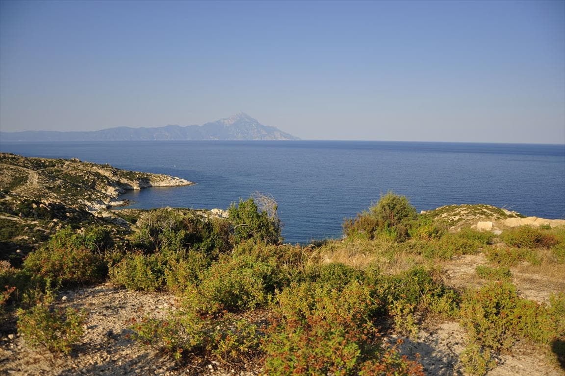 For Sale Land 500 m² in Kriaritsi
