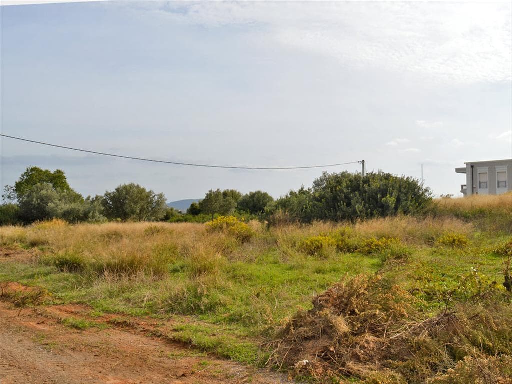 For Sale Land 1750 m² in Attica