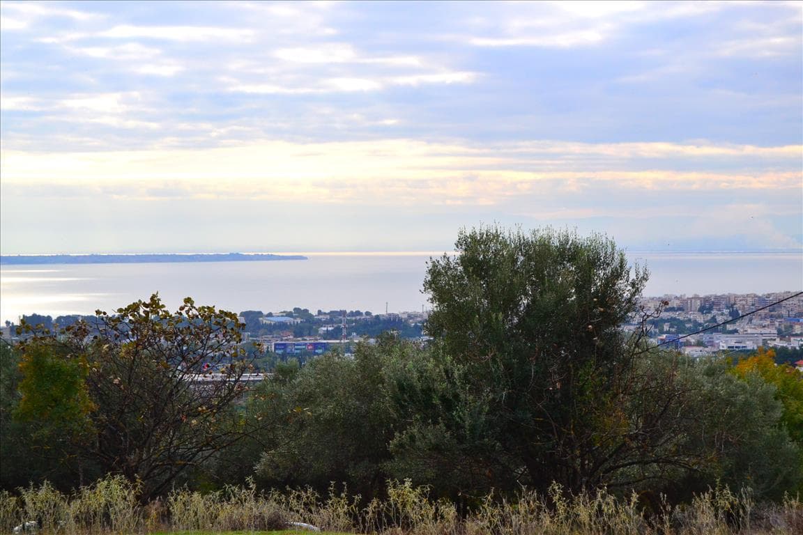 For Sale Land 3800 m² in Thessaloniki