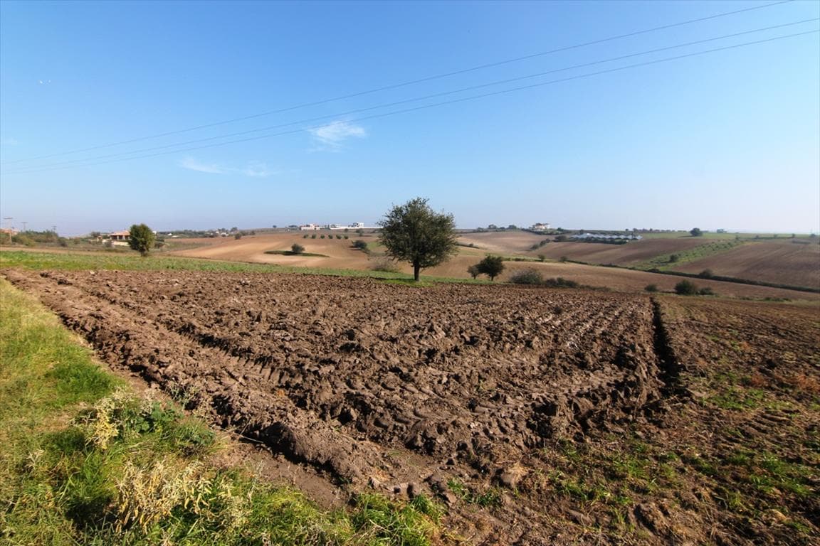 For Sale Land 5000 m² in the suburbs of Thessaloniki
