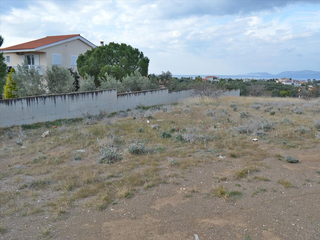 For Sale Land 4700 m² in Eastern Peloponnese
