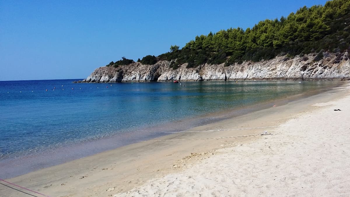 For Sale Land 5751 m² in Sithonia, Chalkidiki