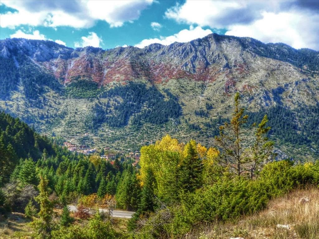 For Sale Land 25000 m² in Arachova