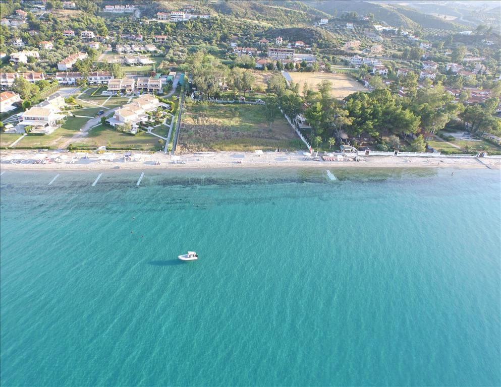 For Sale Land 4800 m² in Kassandra, Chalkidiki