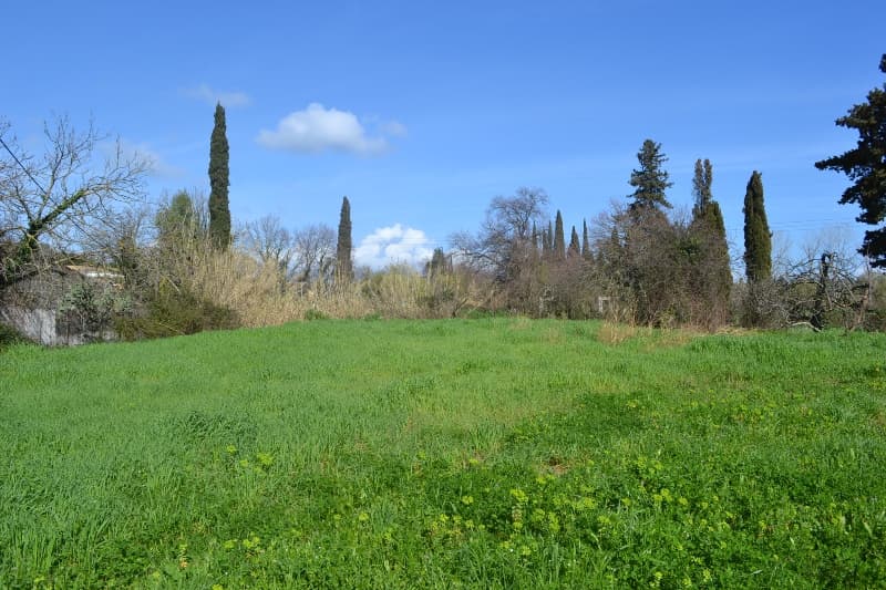For Sale Land 6500 m² in Corfu