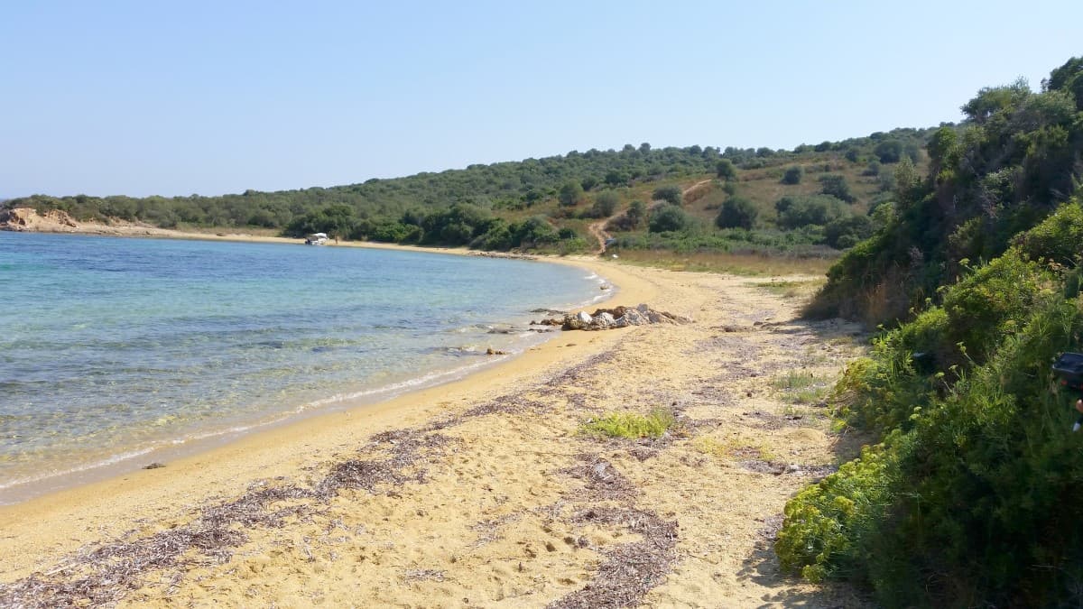 For Sale Land 12000 m² in Athos, Chalkidiki
