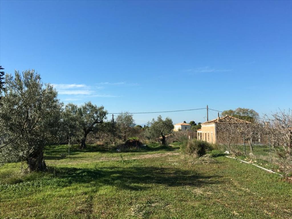 For Sale Land 6458 m² in Attica