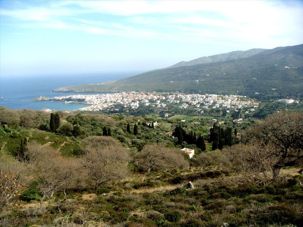 For Sale Land 11000 m² in Cyclades