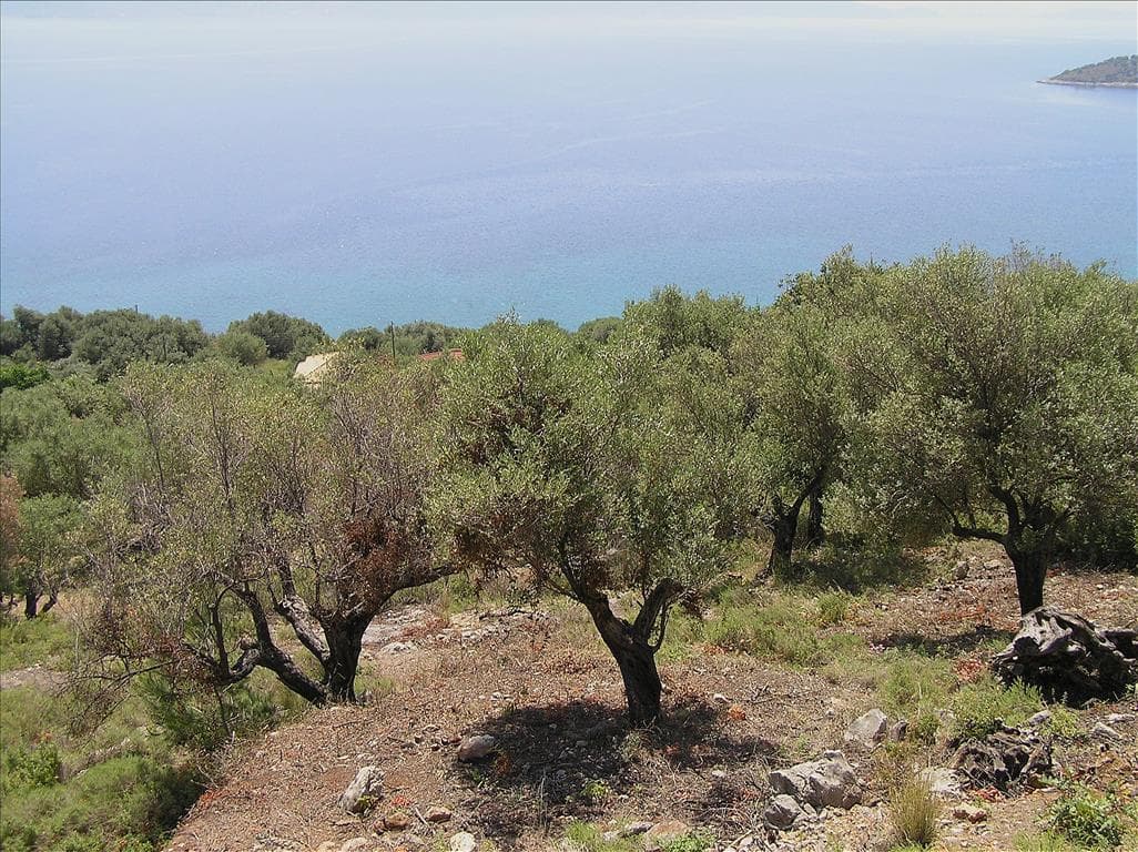 For Sale Land 4010 m² in Ionian Islands