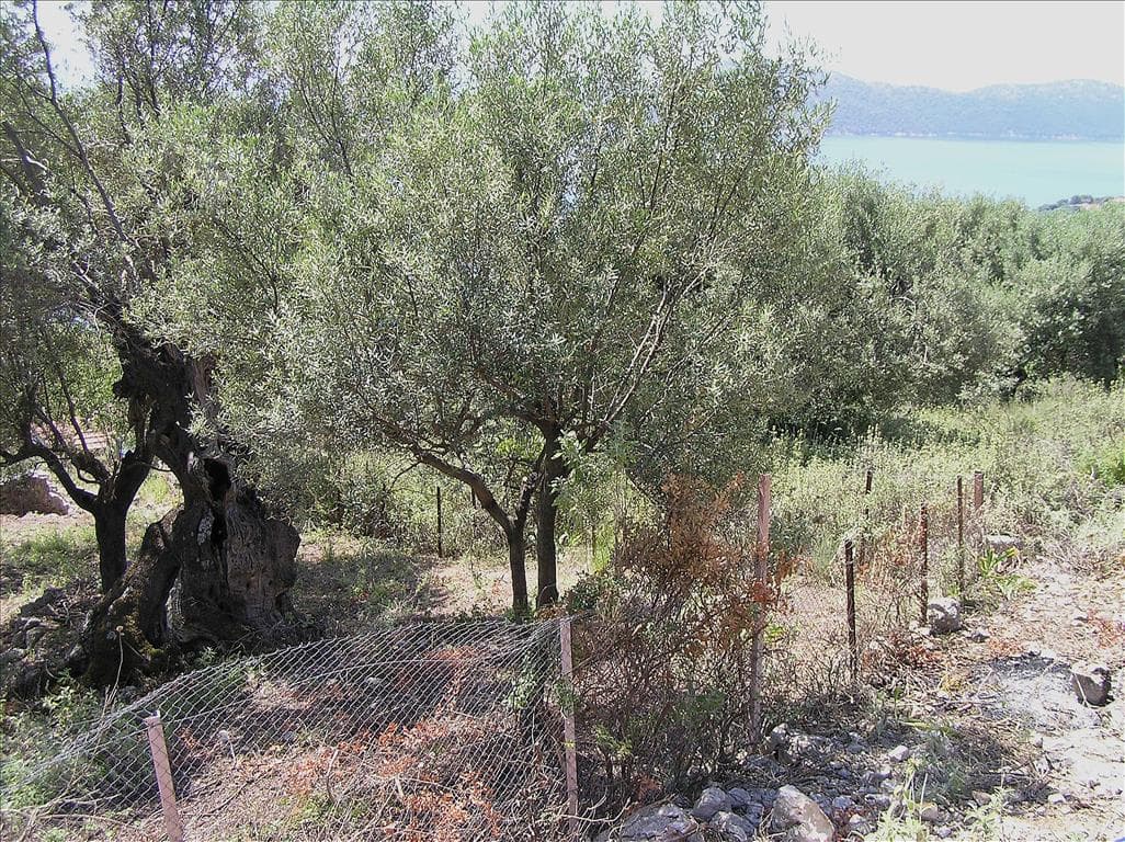For Sale Land 1010 m² in Ionian Islands