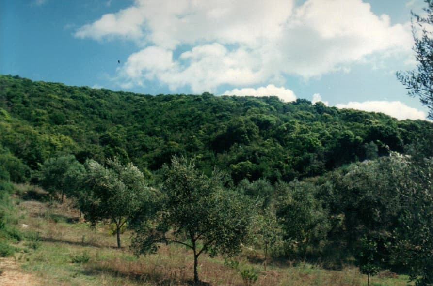 For Sale Land 68000 m² in Corfu