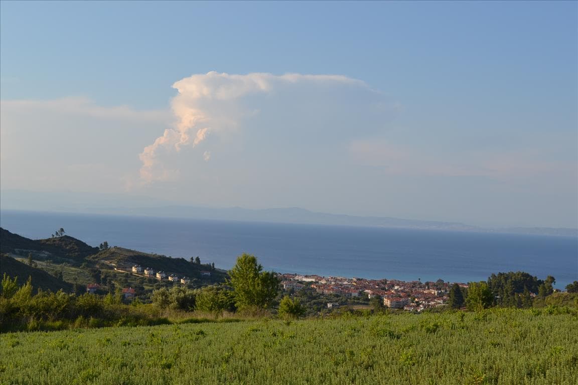 For Sale Land 15400 m² in Kassandra, Chalkidiki
