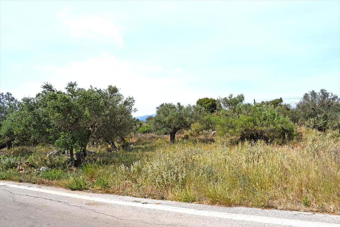 For Sale Land 1673 m² in Crete