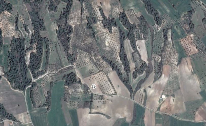 For Sale Land 14528 m² in Kassandra, Chalkidiki