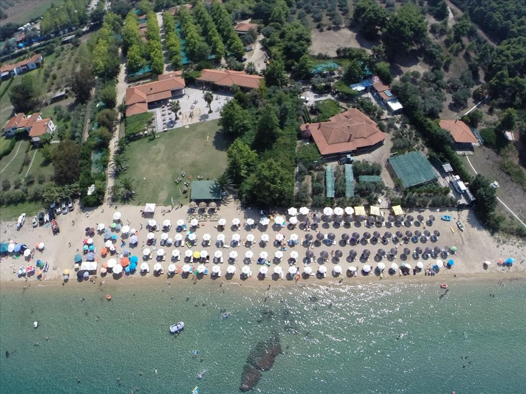 For Sale Land 33802 m² in Athos, Chalkidiki