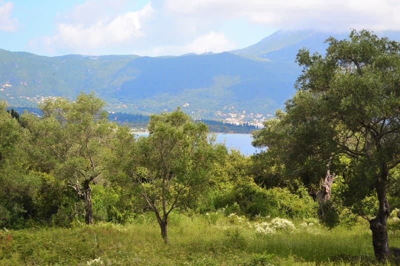 For Sale Land 5500 m² in Corfu