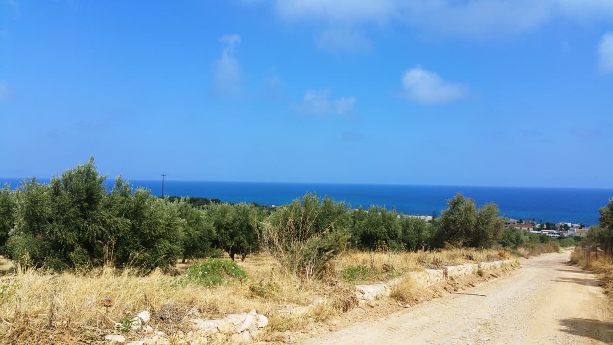 For Sale Land 20000 m² in Crete