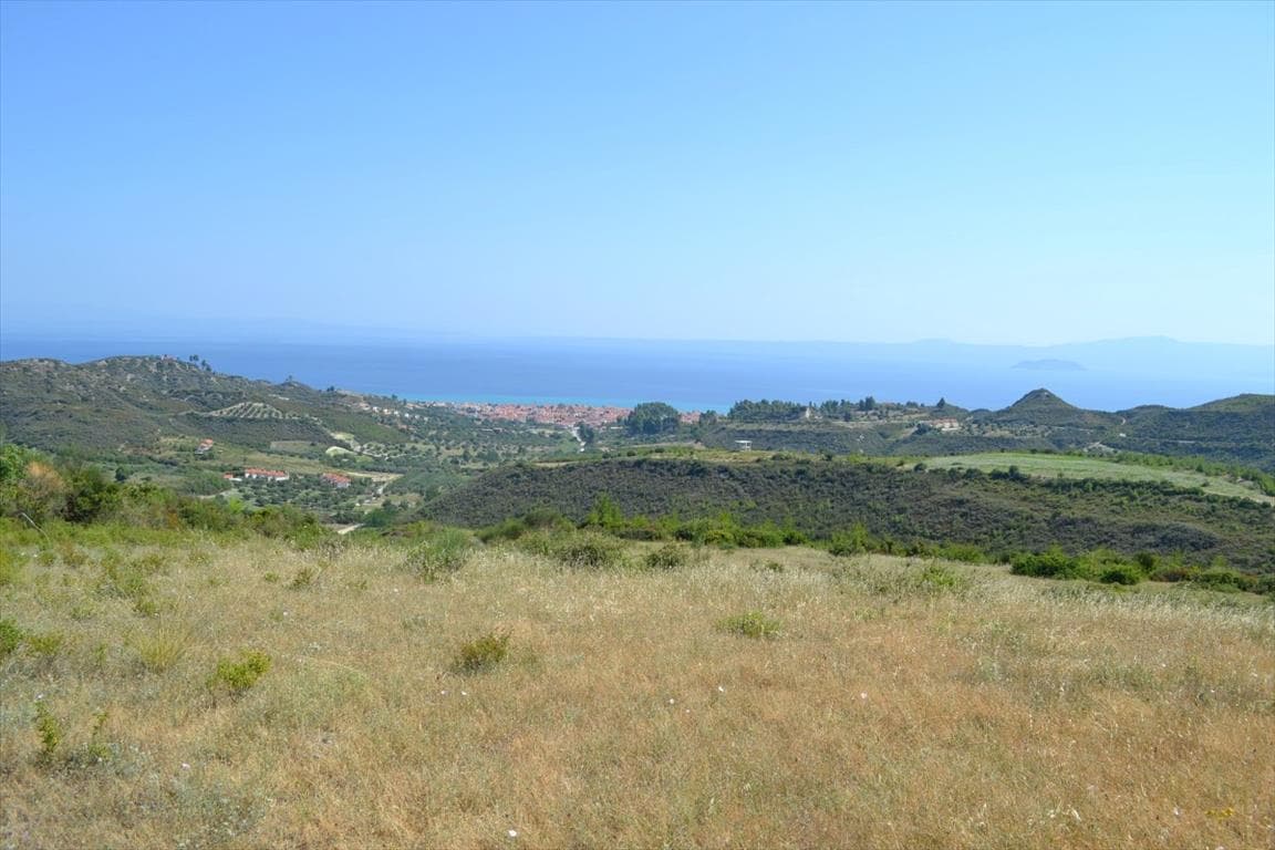 For Sale Land 7378 m² in Kassandra, Chalkidiki