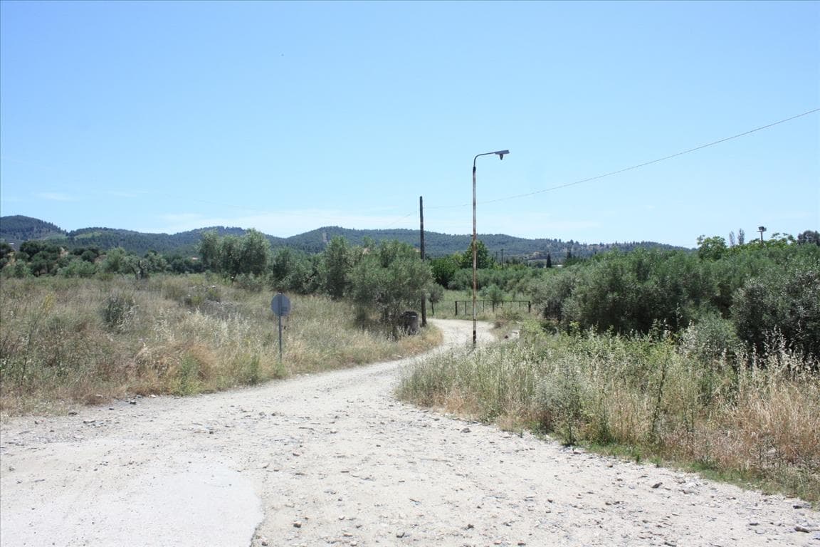 For Sale Land 3500 m² in Sithonia, Chalkidiki